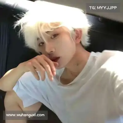 蓬盈晓